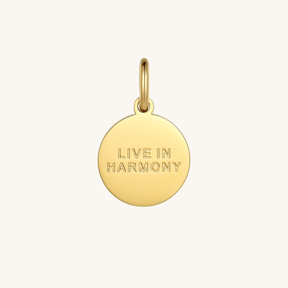 The Yin Yang Charm - Live In Harmony