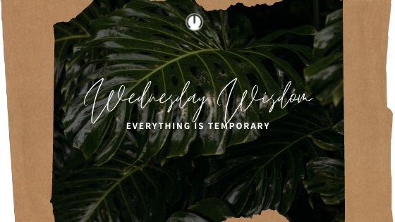 Everything is Temporary - How to Embrace the Ebb and Flow of Life