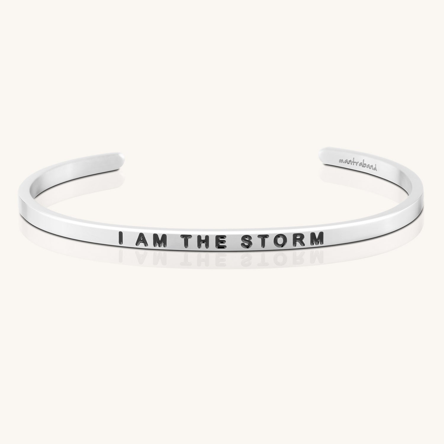 i-am-the-storm