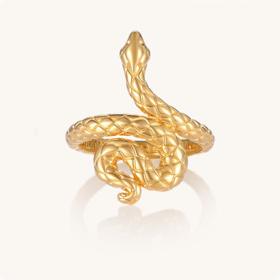 Snake  Ring - Rebirth And Renewal - Mantra Brand Jewelry